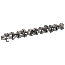 Load image into Gallery viewer, Camshaft Fits VW OE 070 109 101 Q Febi 176784