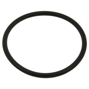 Cooling Water Flange Sealing Ring Fits Volkswagen Golf Jetta Polo Sea Febi 18774