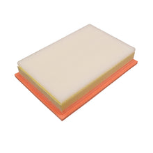 Load image into Gallery viewer, Galaxy Air Filter Fits Ford 7M3 129 620 Febi 26408