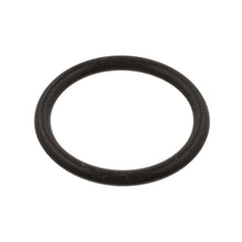 Load image into Gallery viewer, Fuel Filter O-Ring Fits Volkswagen Caddy Eurovan Golf Cabrio Van Vari Febi 39732