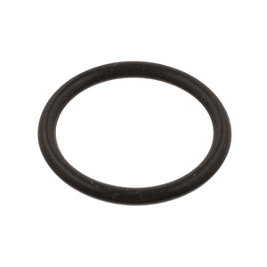 Fuel Filter O-Ring Fits Volkswagen Caddy Eurovan Golf Cabrio Van Vari Febi 39732