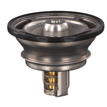Load image into Gallery viewer, Thermostat Inc O-Ring Fits Volvo B12 B M B9 L S7300 7500 8500 8700 97 Febi 40673