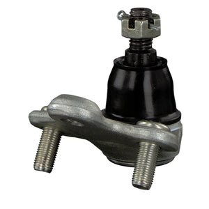 Front Right Lower Ball Joint Inc Castle Nut & Cotter Pin Fits Honda C Febi 42135