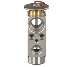 Load image into Gallery viewer, Expansion Valve Fits Volvo FL6 FL608 - 615 FL616 619 FLCFL 180 FL 205 Febi 49060