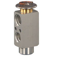 Load image into Gallery viewer, Expansion Valve Fits Volvo FL6 FL608 - 615 FL616 619 FLCFL 180 FL 205 Febi 49060