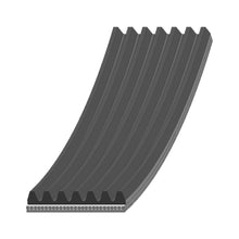 Load image into Gallery viewer, 7 Ribbed Auxiliary V Belt Aux Multi 1753mm 7PK1753 Fits DAF Febi 29033