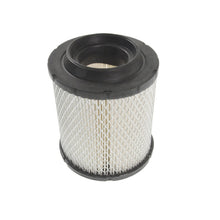 Load image into Gallery viewer, Neon Air Filter Fits Chrysler 04891097AA Blue Print ADA102216