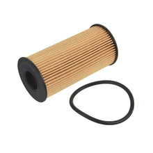 Load image into Gallery viewer, Oil Filter Inc Sealing Ring Fits Renault OE 152092567R Blue Print ADBP210033