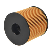 Load image into Gallery viewer, Oil Filter Fits Bentley OE 07P 115 562 B Blue Print ADBP210111