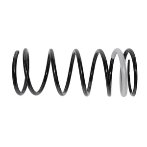 Rear Coil Spring Fits Mitsubishi Dignity Montero Pajero Sho Blue Print ADC488360