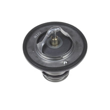 Load image into Gallery viewer, Thermostat Inc Sealing Ring Fits Nissan AD Van 4WD Almera Ti Blue Print ADC49206