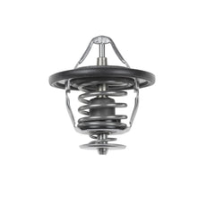 Load image into Gallery viewer, Thermostat Inc Sealing Ring Fits Nissan AD Van 4WD Almera Ti Blue Print ADC49206
