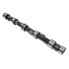 Load image into Gallery viewer, Camshaft Kit Fits Daewoo Lanos Chevrolet GM Lanos Blue Print ADG06101