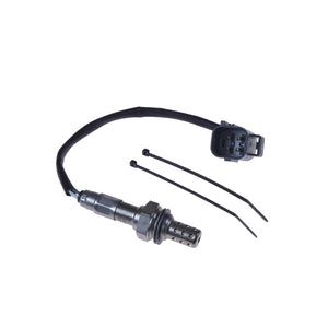 Rear Lambda Sensor Fits Jaguar F-Type XFR XJ OE C2D23703 Blue Print ADJ137003