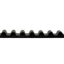 Load image into Gallery viewer, Timing Belt Fits Mazda Tribute EP EP OE YF0912205 Blue Print ADM57536