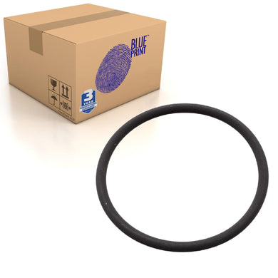 Injection Pump To Crankcase O-Ring Fits Vauxhall Movano Viva Blue Print ADN16144