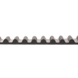 Timing Belt Fits Nissan Patrol OE 1302881T00 Blue Print ADN17525