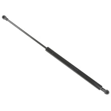 Load image into Gallery viewer, Boot Gas Strut Corolla Tailgate Support Lifter Fits Toyota Blue Print ADT35813