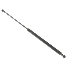 Load image into Gallery viewer, Boot Gas Strut Corolla Tailgate Support Lifter Fits Toyota Blue Print ADT35814