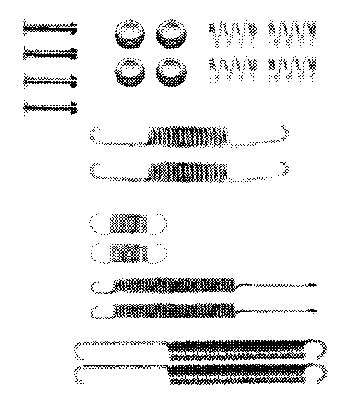 Rear Brake Shoe Fitting Kit Fits Audi VW Ferodo FBA139
